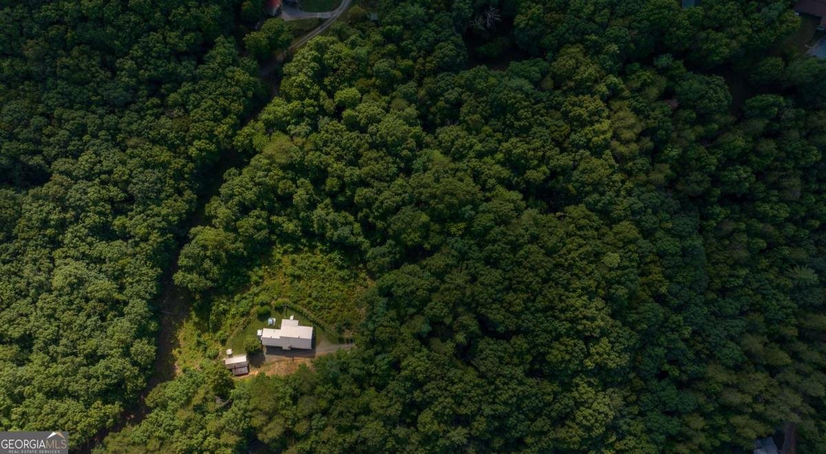 588 Pinetree Road Blue Ridge - 41
