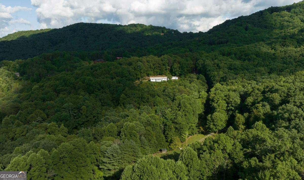 588 Pinetree Road Blue Ridge - 44