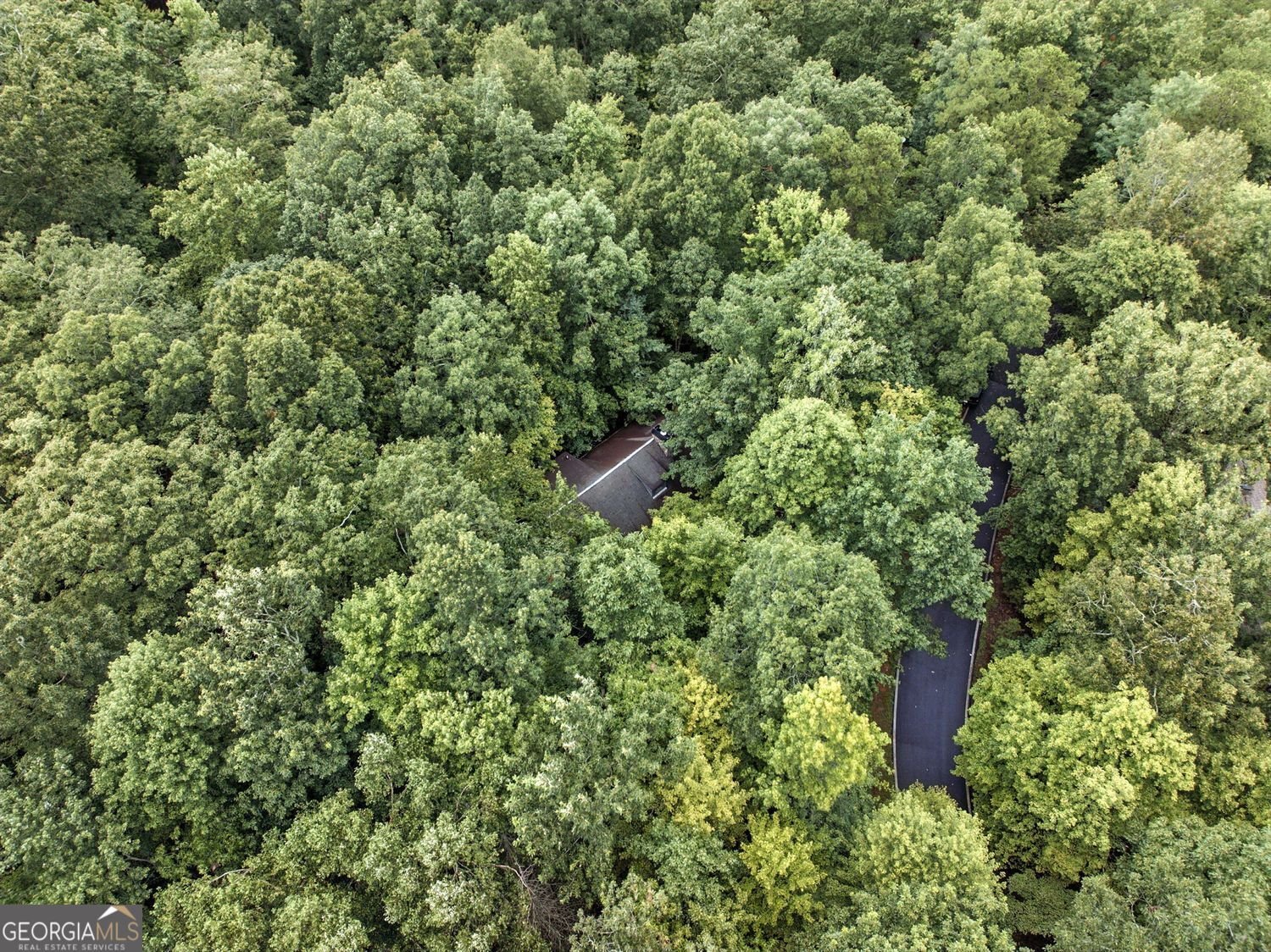 61 Cottonwood Circle Jasper - 47