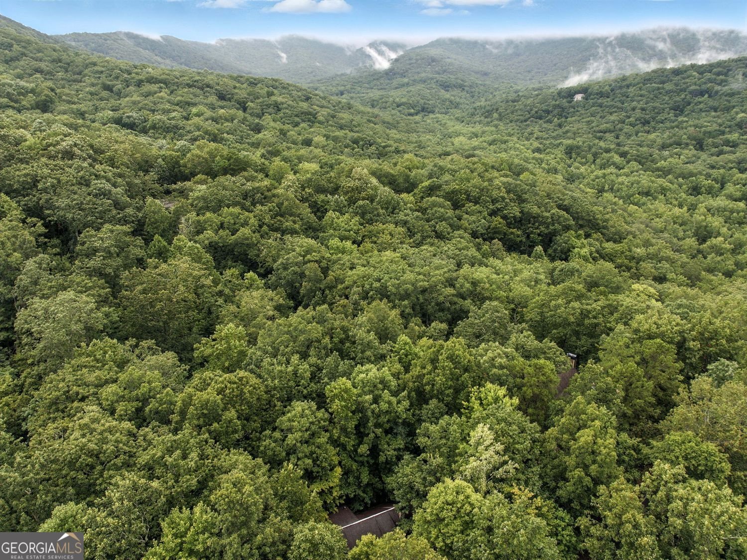 61 Cottonwood Circle Jasper - 52