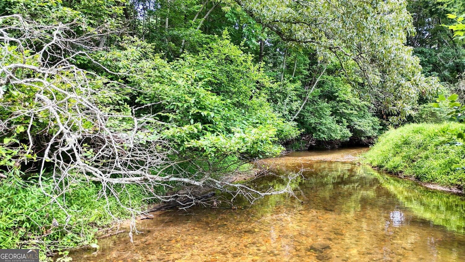 273 Coosa Valley Road Blairsville - 16