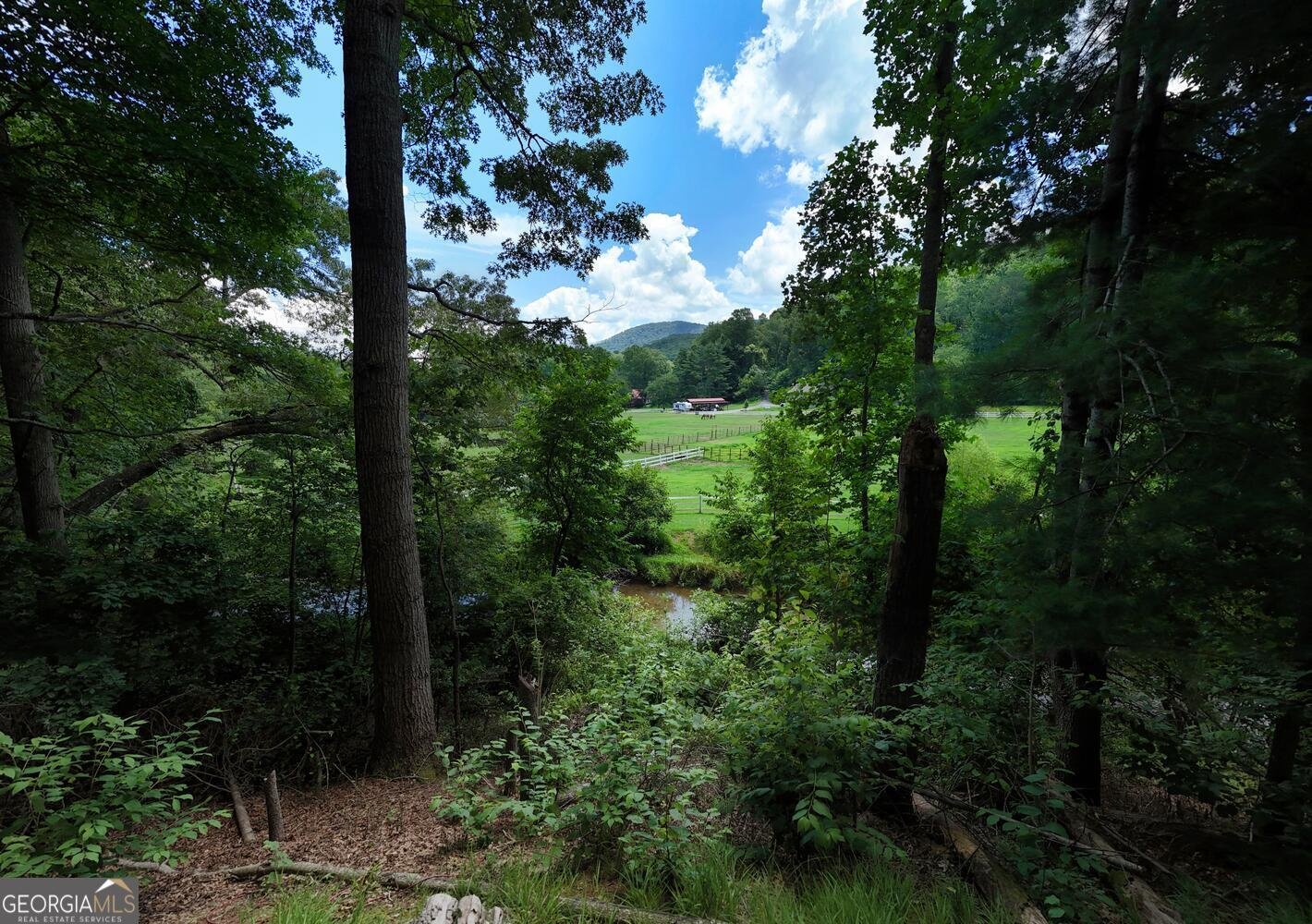 273 Coosa Valley Road Blairsville - 17