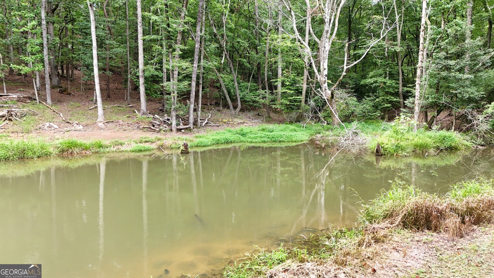987 Peaceful Valley Drive Cleveland - 32