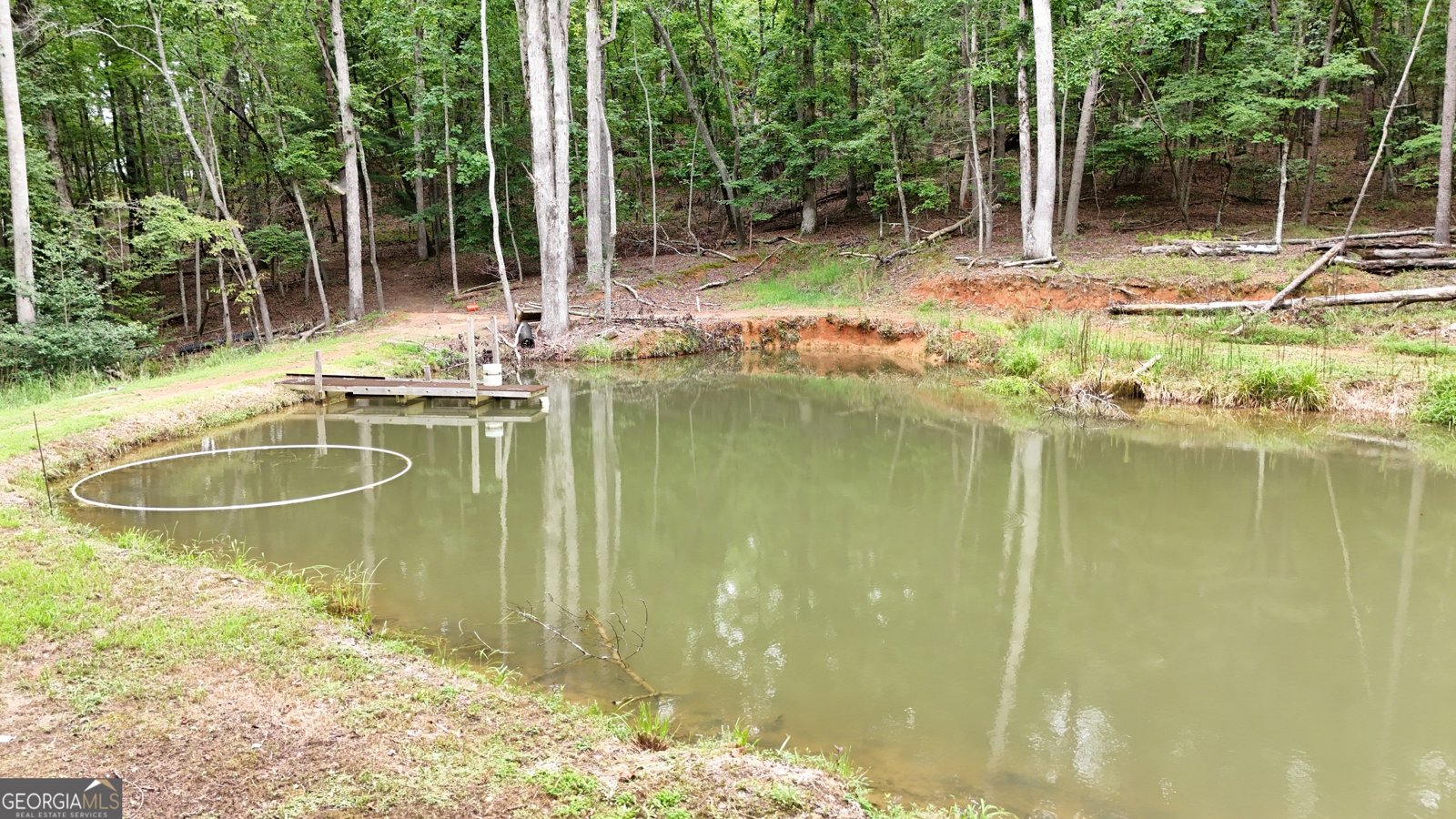 987 Peaceful Valley Drive Cleveland - 33
