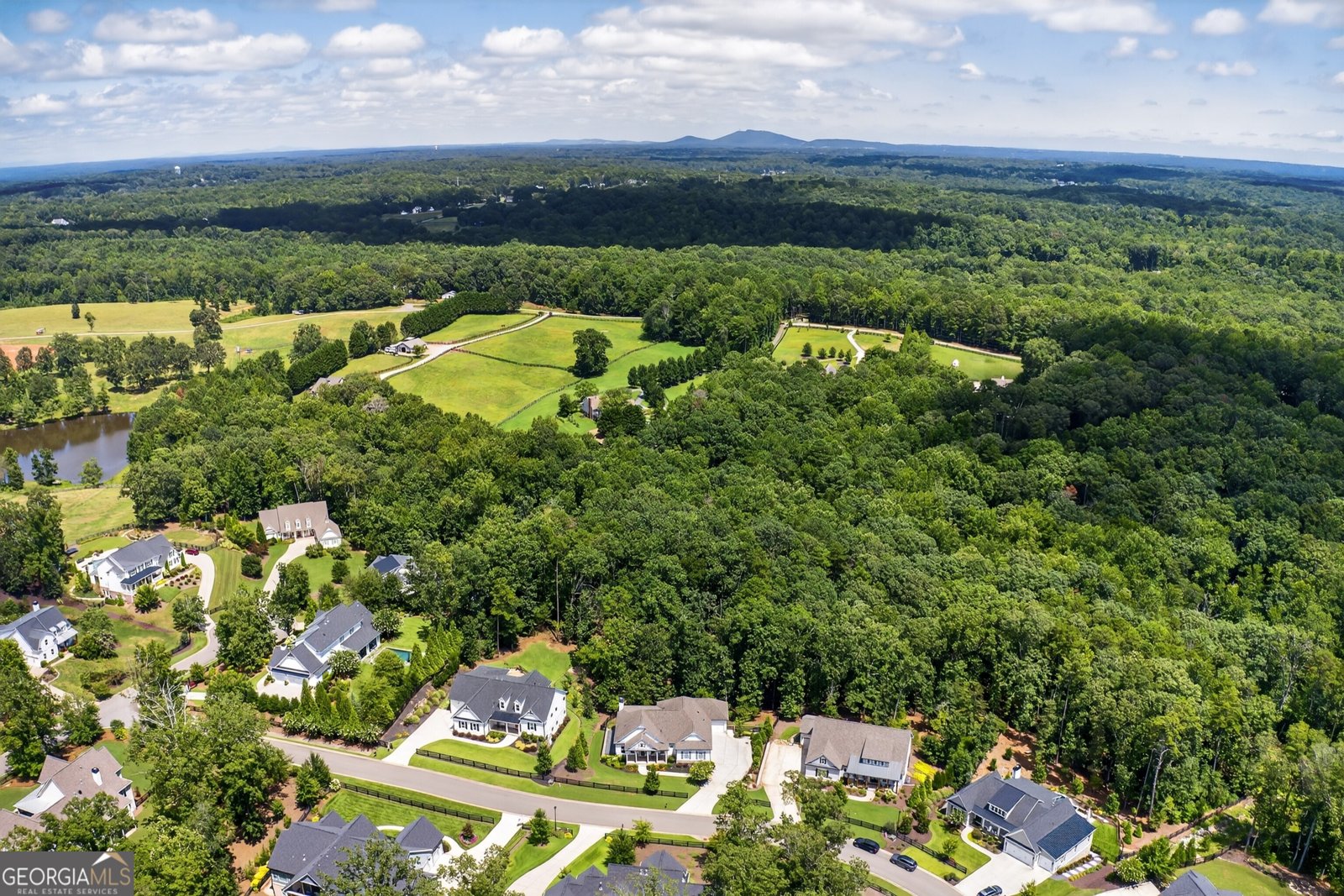 305 Red Gate Lane Canton - 6