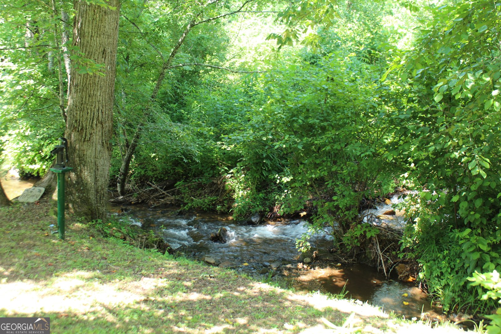 973 East Vineyard Road Hayesville - 1