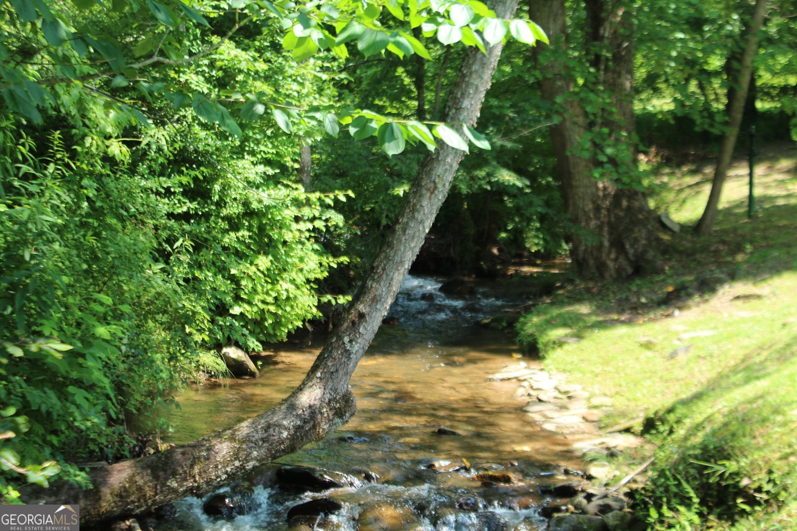 973 East Vineyard Road Hayesville - 6