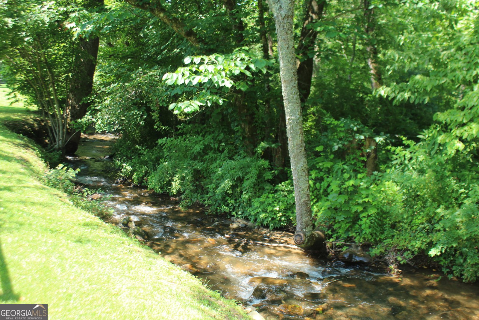 973 East Vineyard Road Hayesville - 7