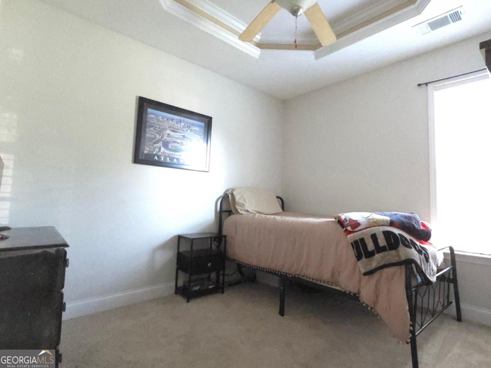 410 Madison Place Parkway Byron - 11