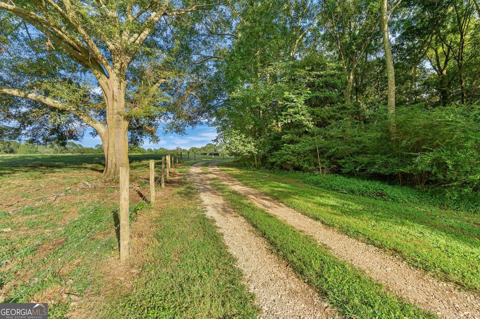361 Adamstown Road Bowersville - 55