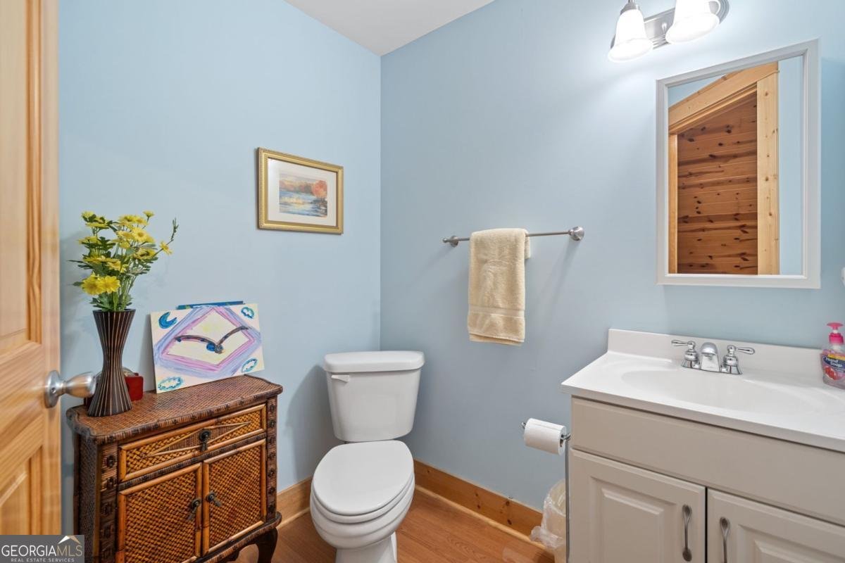 564 Scrougetown Road Ellijay - 27