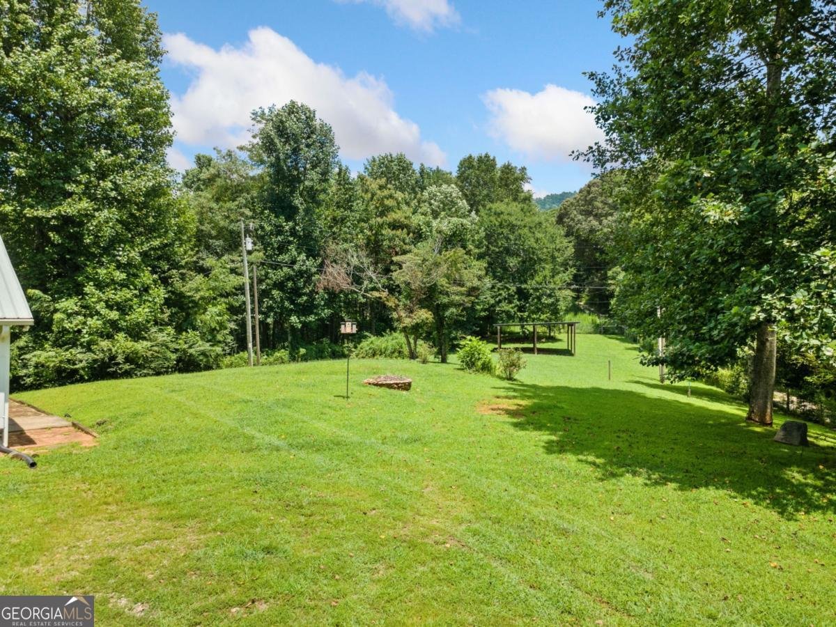 564 Scrougetown Road Ellijay - 52