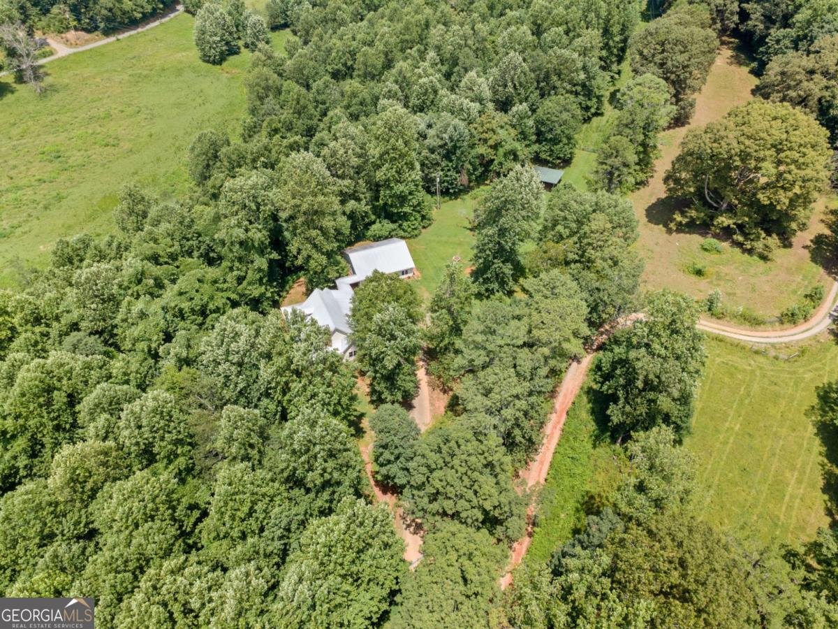564 Scrougetown Road Ellijay - 56