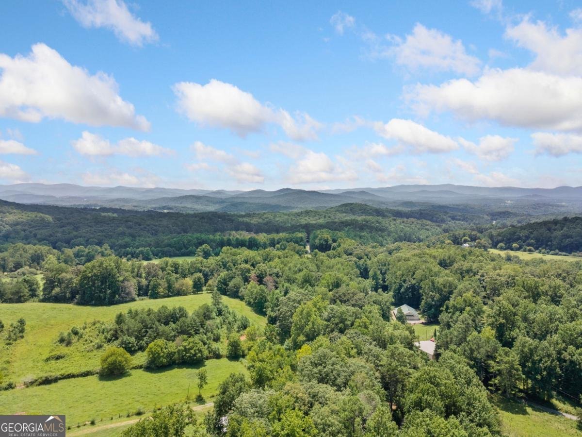 564 Scrougetown Road Ellijay - 57