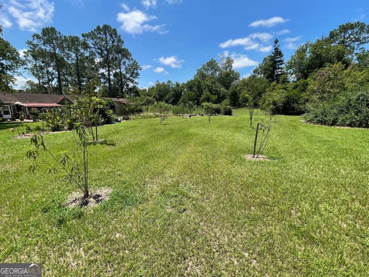 57 Dogwood Drive Jacksonville - 14