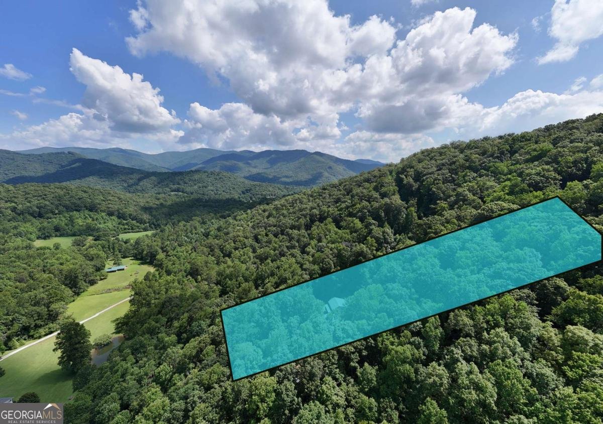 317 Collins Creek Road Hiawassee - 75
