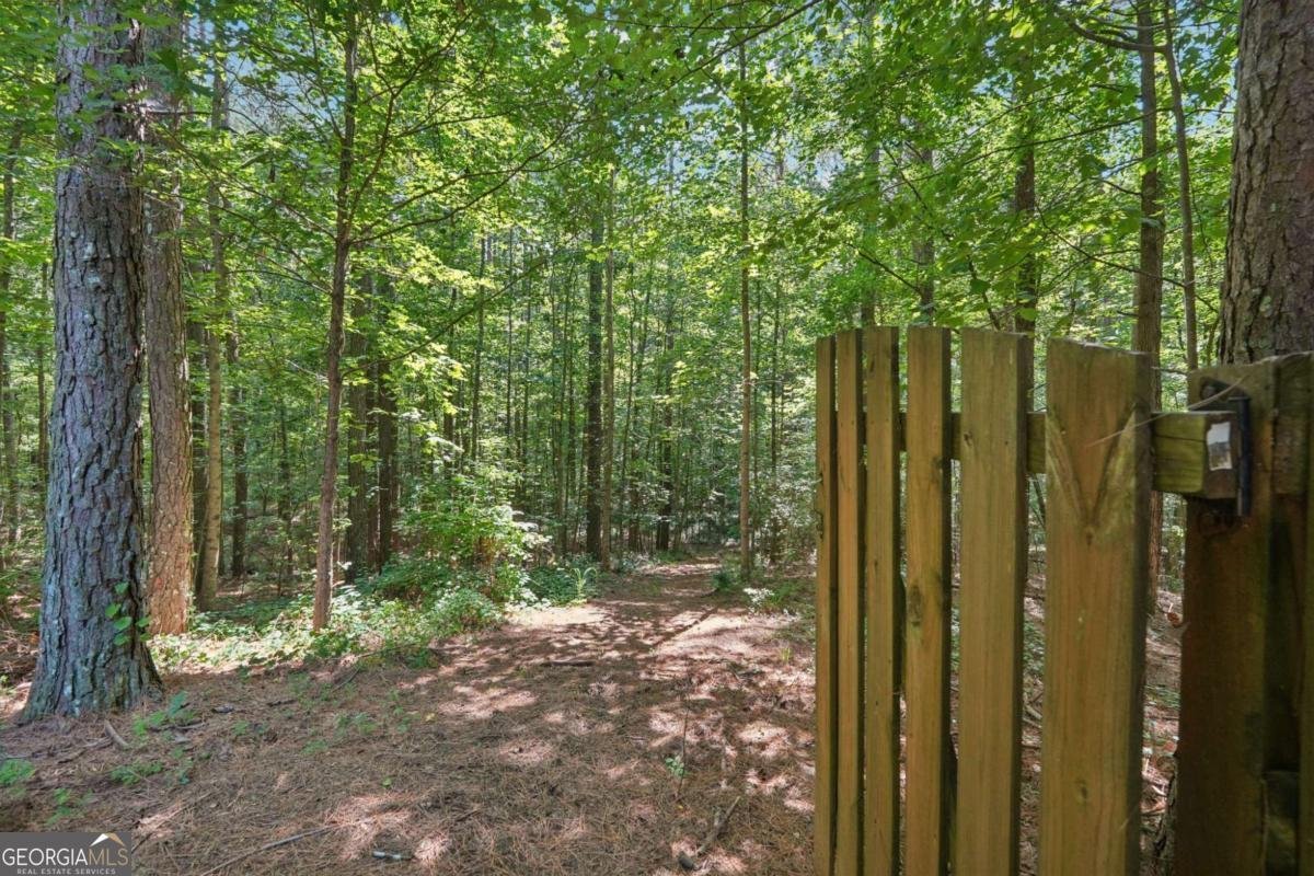 202 Saddlehorn Trail Ball Ground - 60