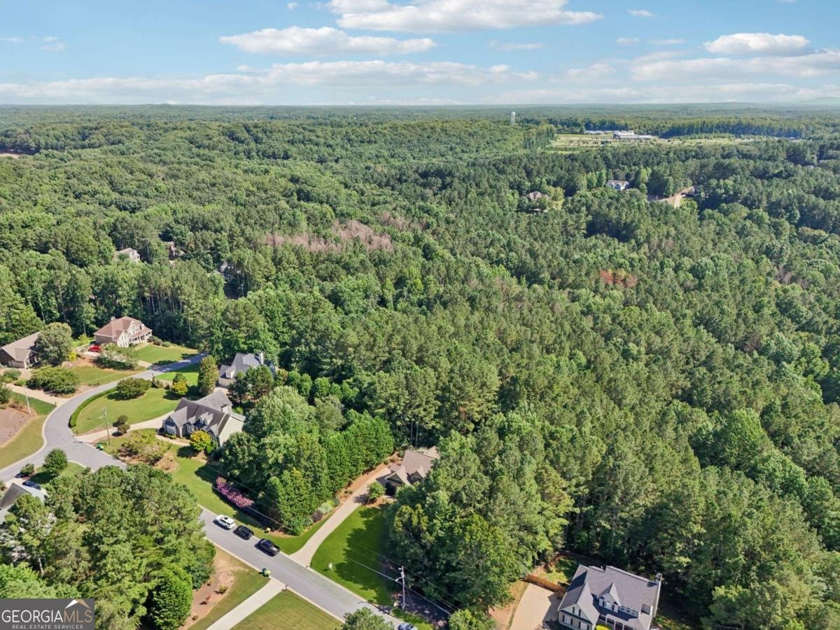 202 Saddlehorn Trail Ball Ground - 82