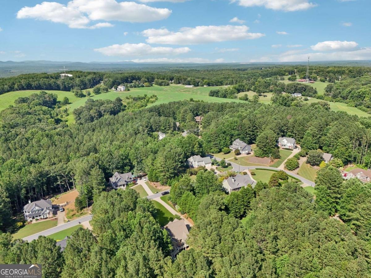 202 Saddlehorn Trail Ball Ground - 90