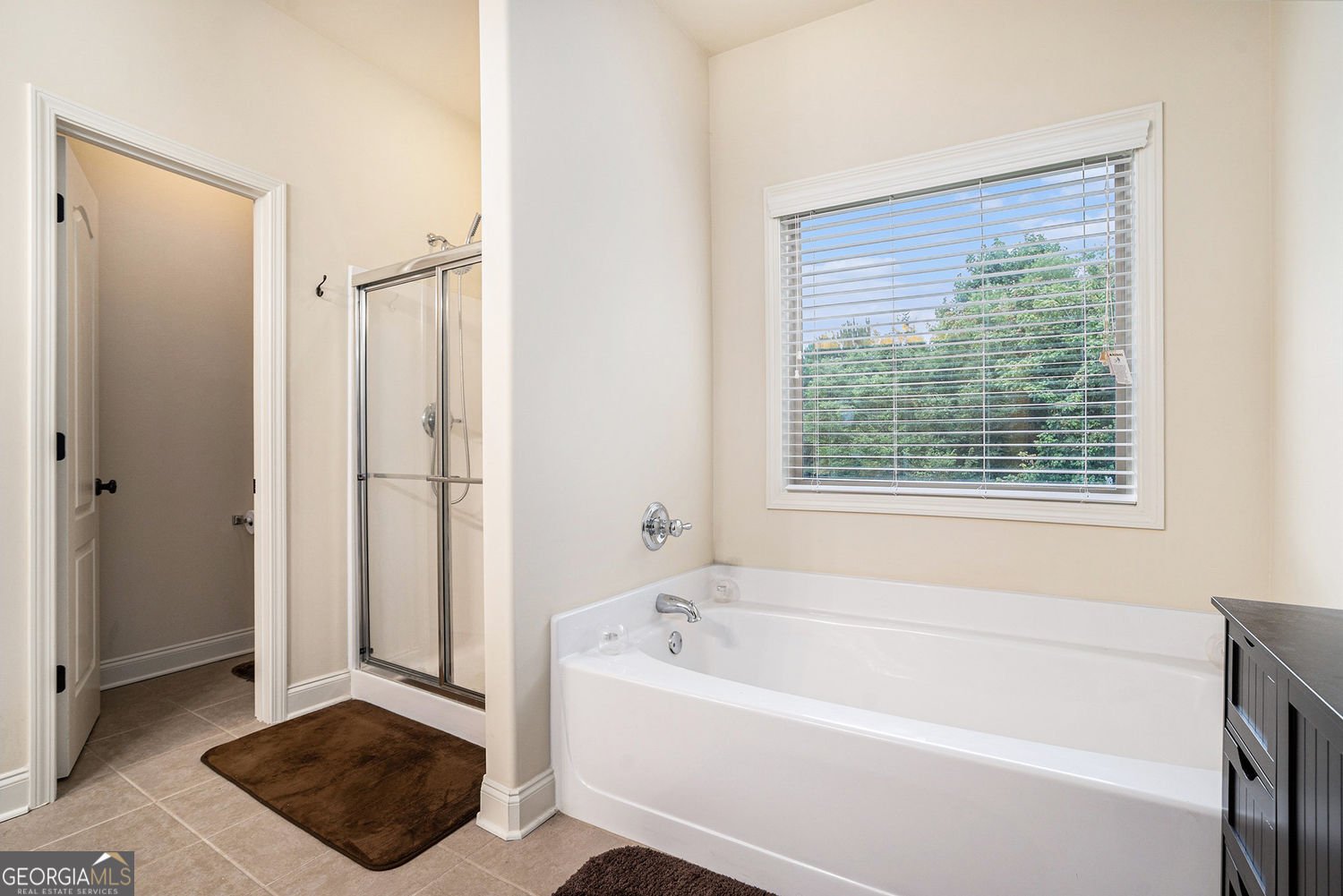 3820 Kings Bridge Drive Douglasville - 17