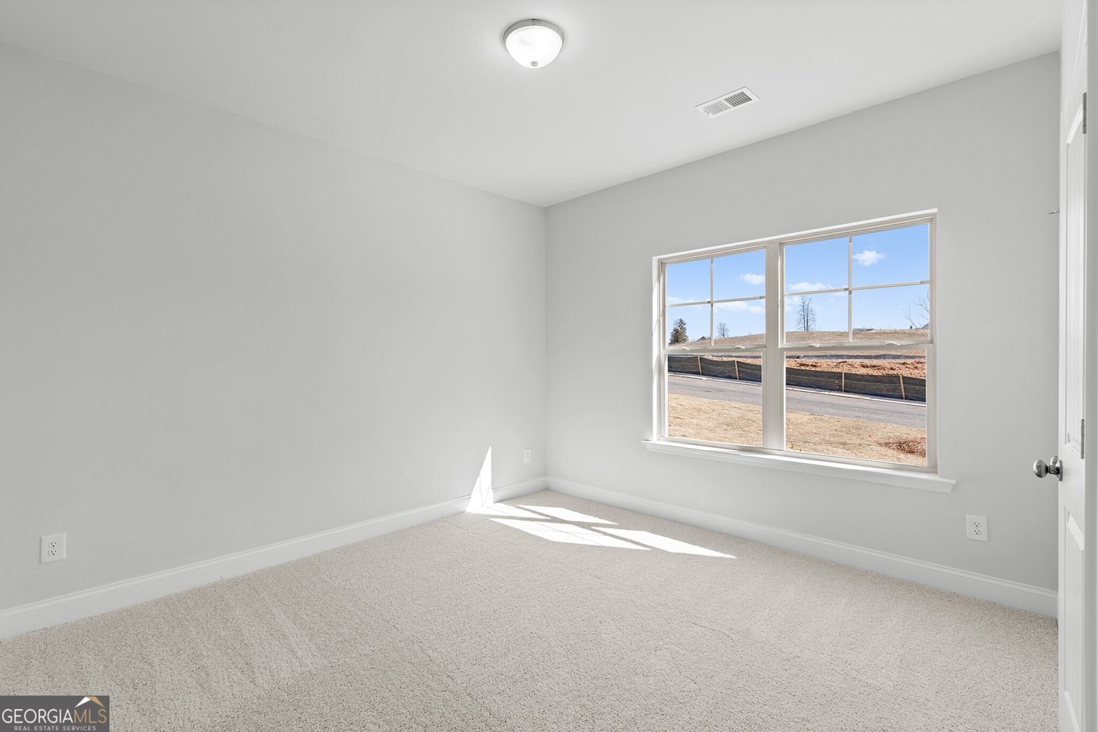 176 Greenview Court Homer - 17
