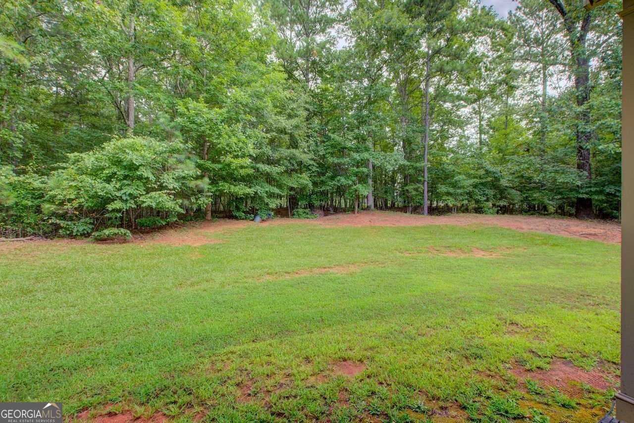 167 Tiffany Trace Palmetto - 13