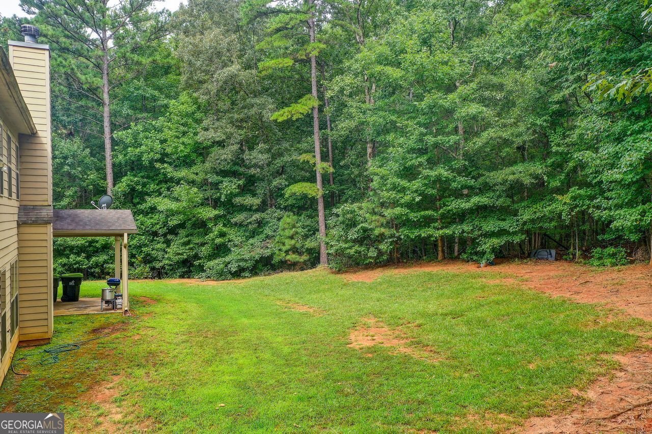 167 Tiffany Trace Palmetto - 14