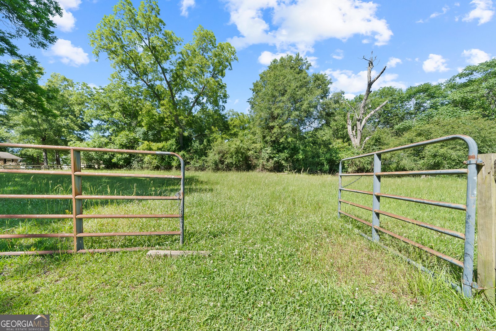 426 Poplar Street Madison - 13
