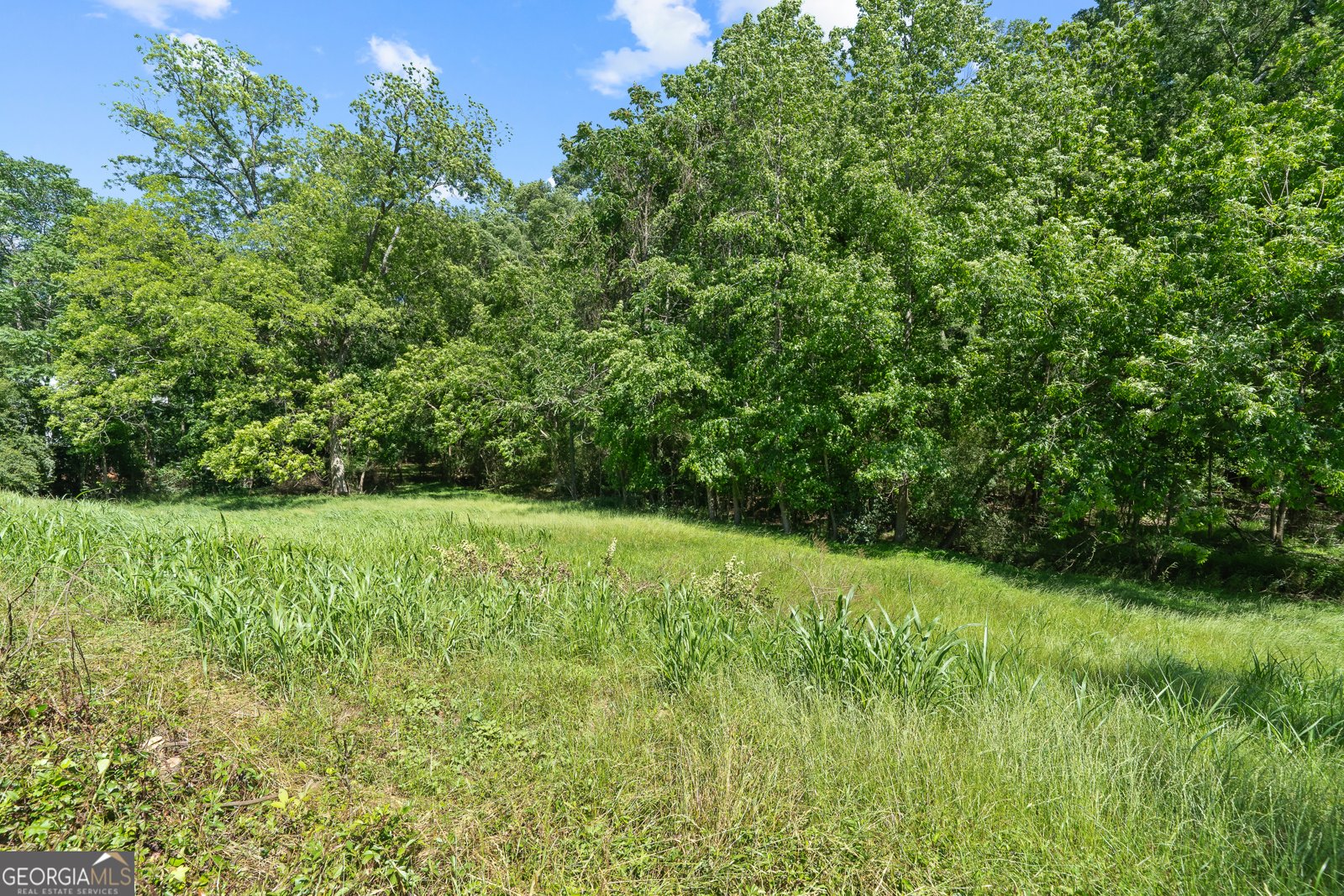 426 Poplar Street Madison - 16