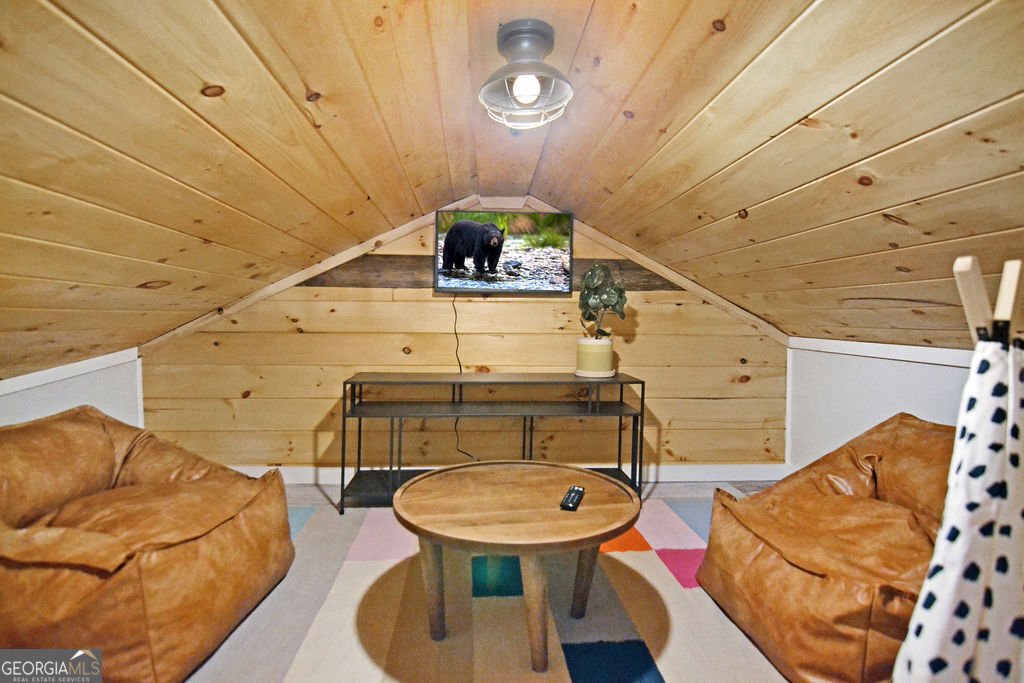 165 Corbin Hill Road Ellijay - 19