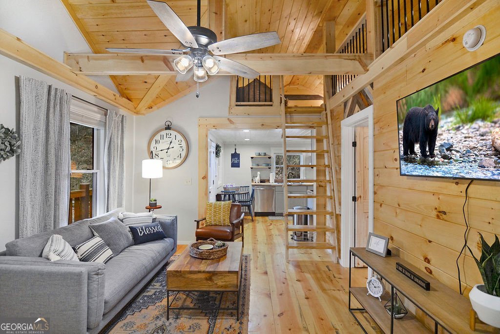 165 Corbin Hill Road Ellijay - 4