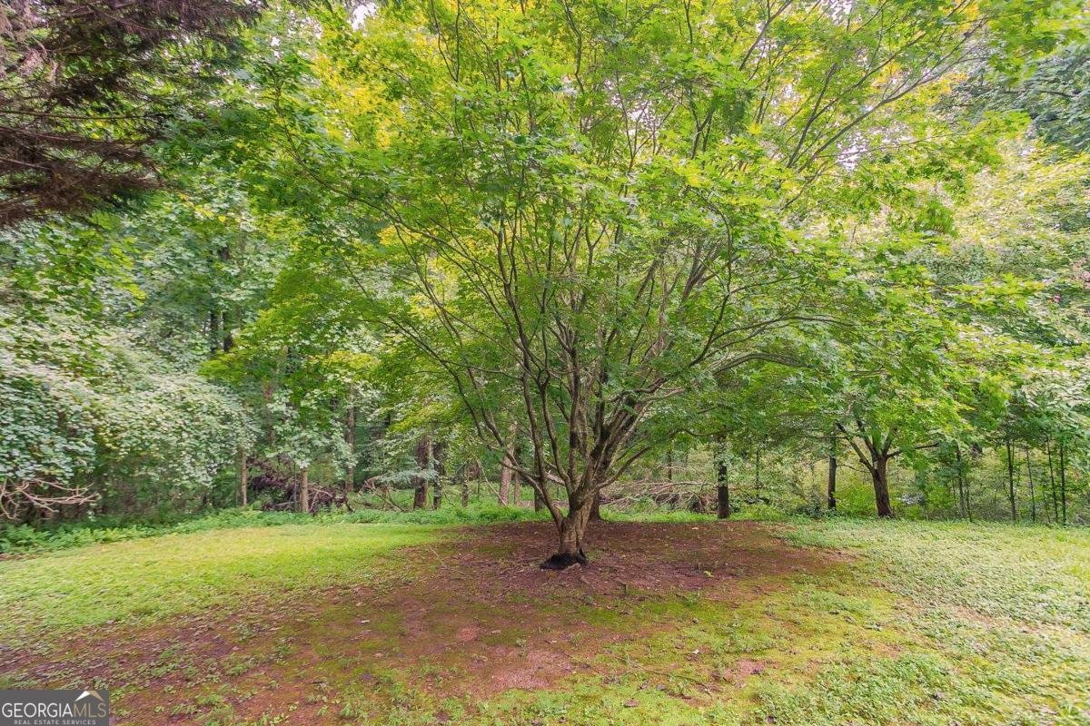 6001 Devonshire Drive Flowery Branch - 37