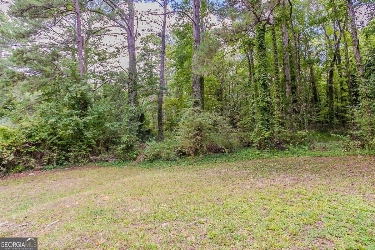 4503 Rio Grande Road Atlanta - 7