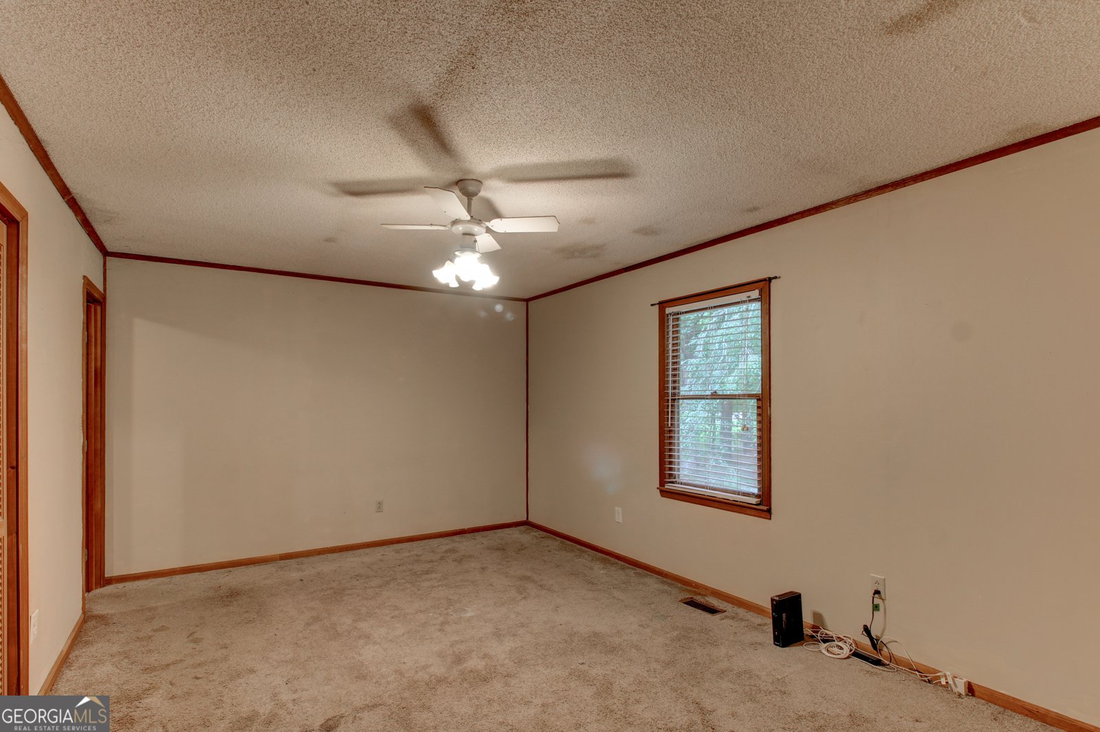 4009 Hwy 138 Stockbridge - 29