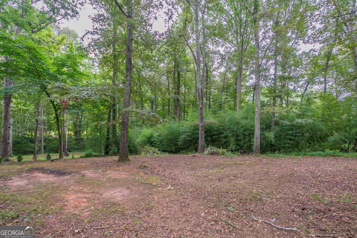 4505 Laurie Lane Powder Springs - 36