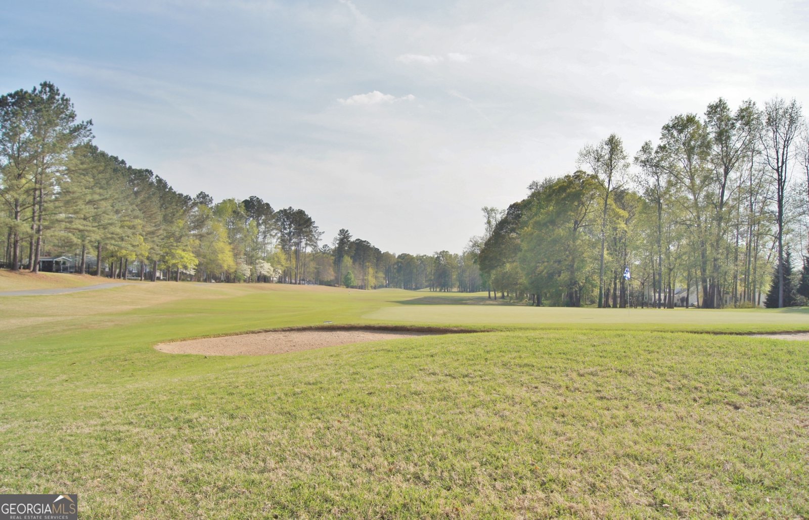 503 Atwood Circle Peachtree City - 19