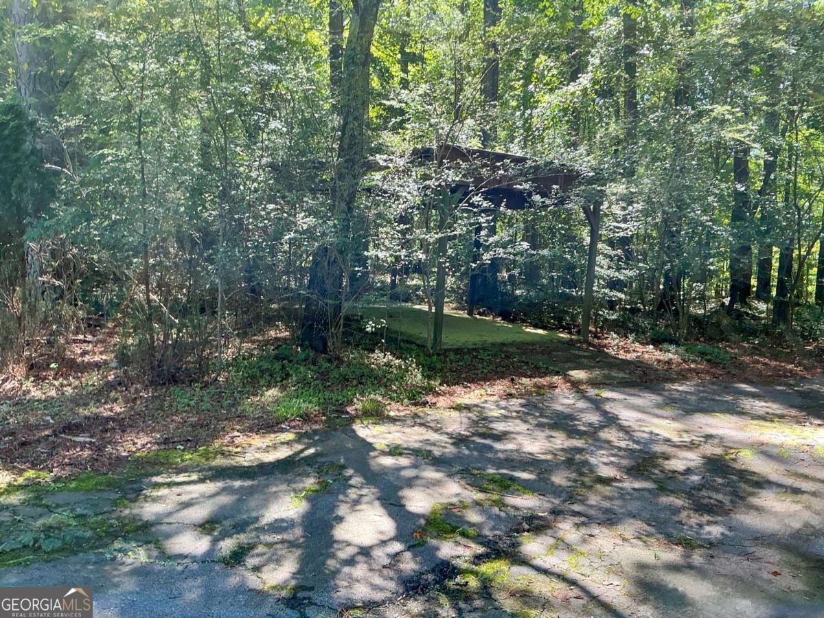 1501 Aiken Chafin Lane Mcdonough - 11