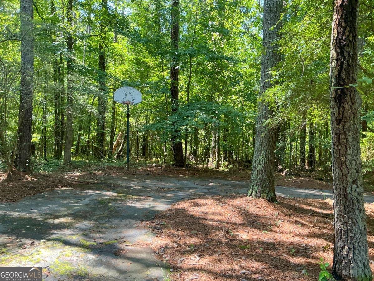 1501 Aiken Chafin Lane Mcdonough - 12