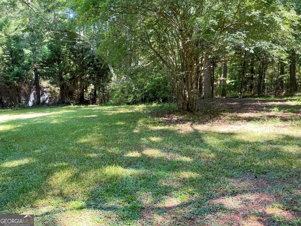 1501 Aiken Chafin Lane Mcdonough - 15