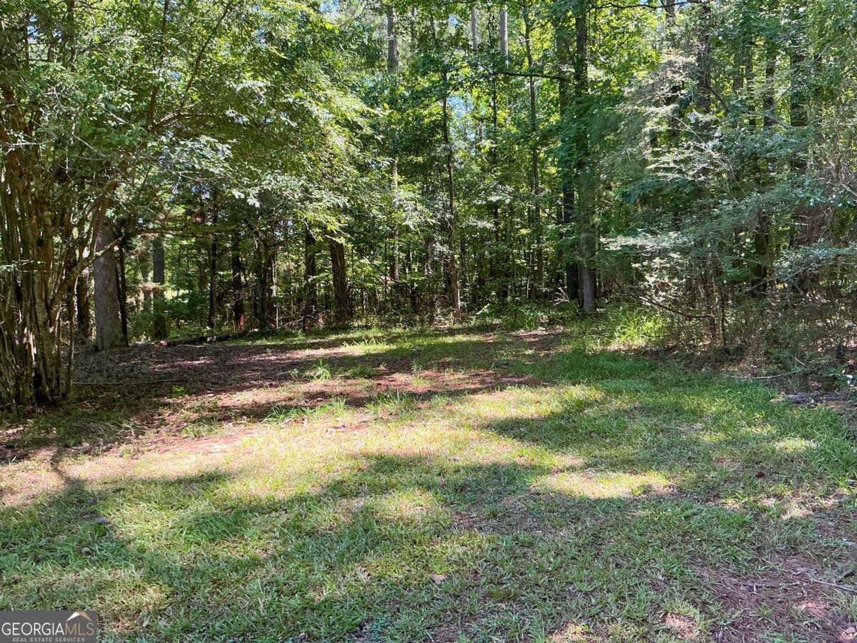 1501 Aiken Chafin Lane Mcdonough - 16