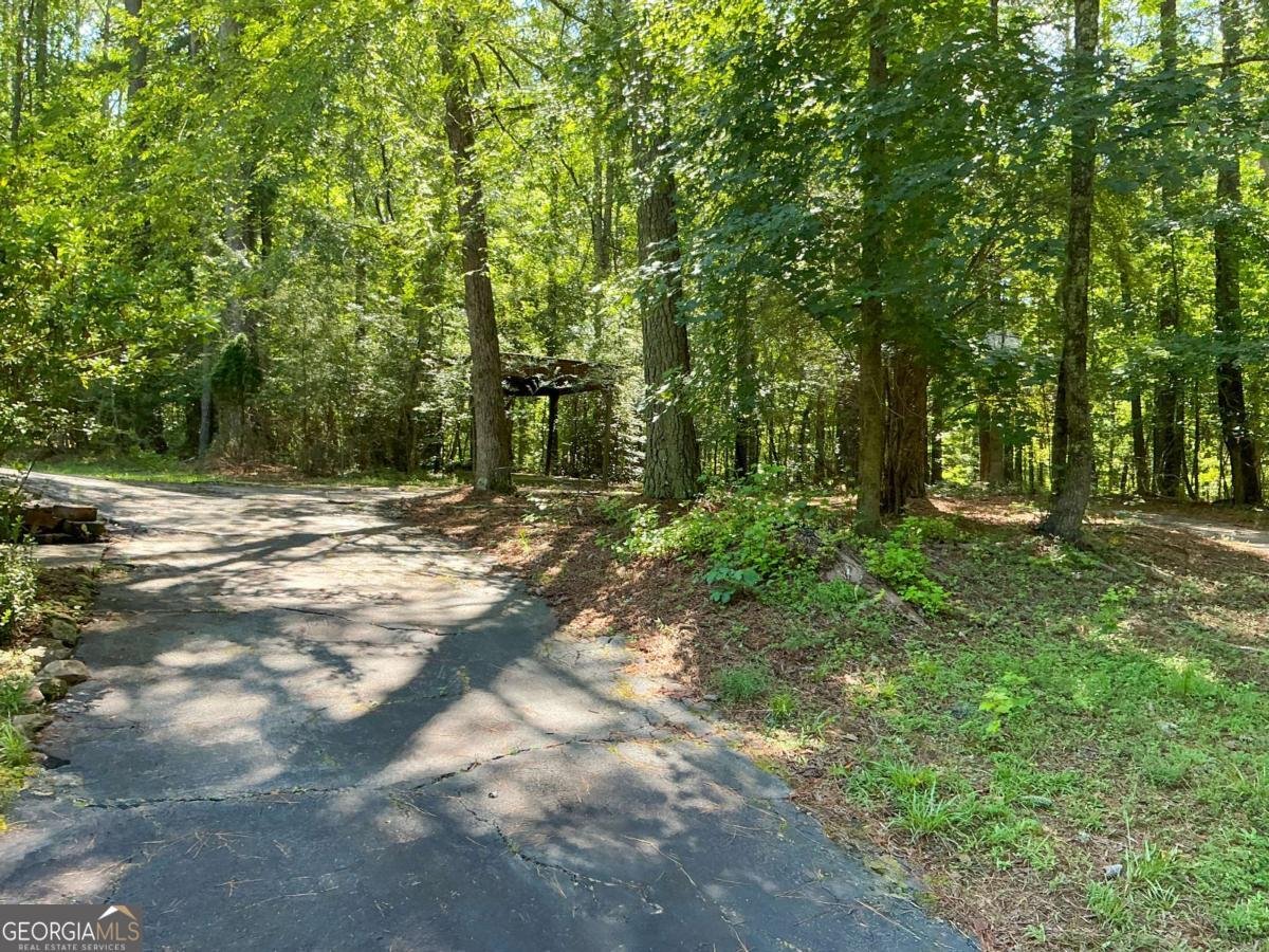 1501 Aiken Chafin Lane Mcdonough - 19