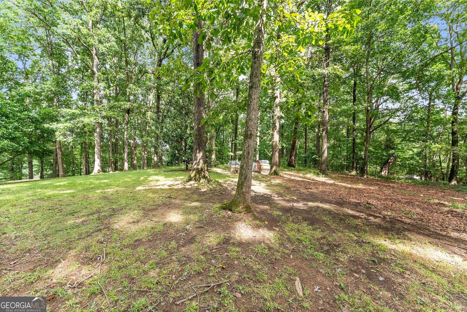 1509 Yonah Homer Road Maysville - 65