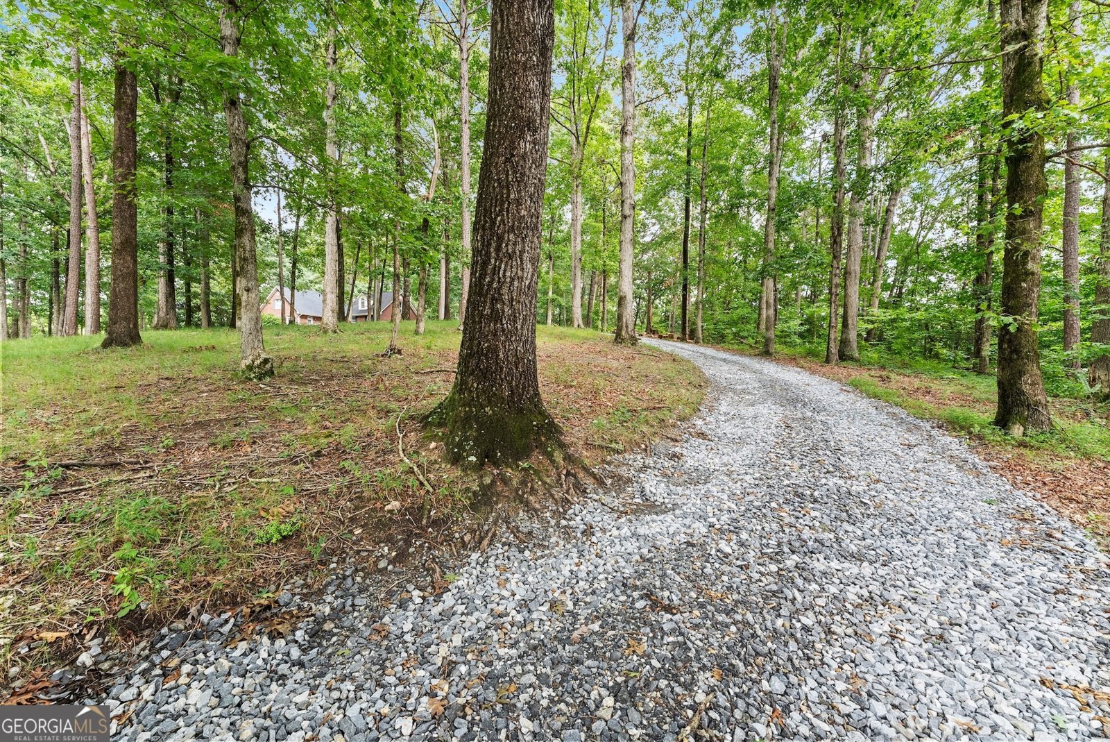 1509 Yonah Homer Road Maysville - 66