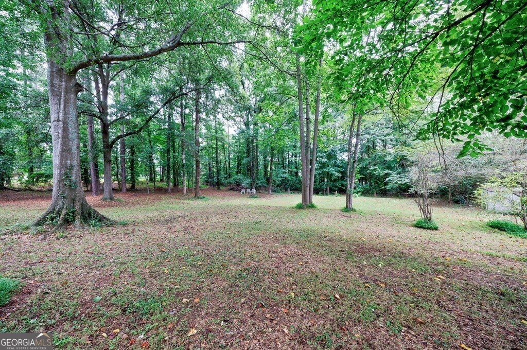 11465 Elkins Road Roswell - 20