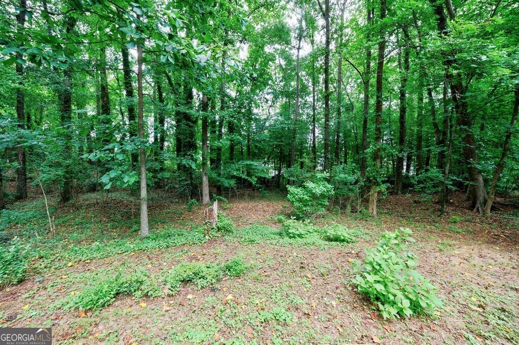11465 Elkins Road Roswell - 21