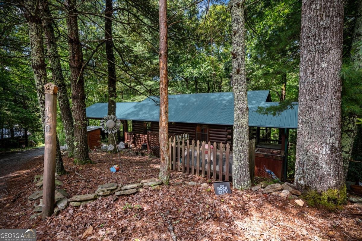 120 Tomahawk Trail Blue Ridge - 8