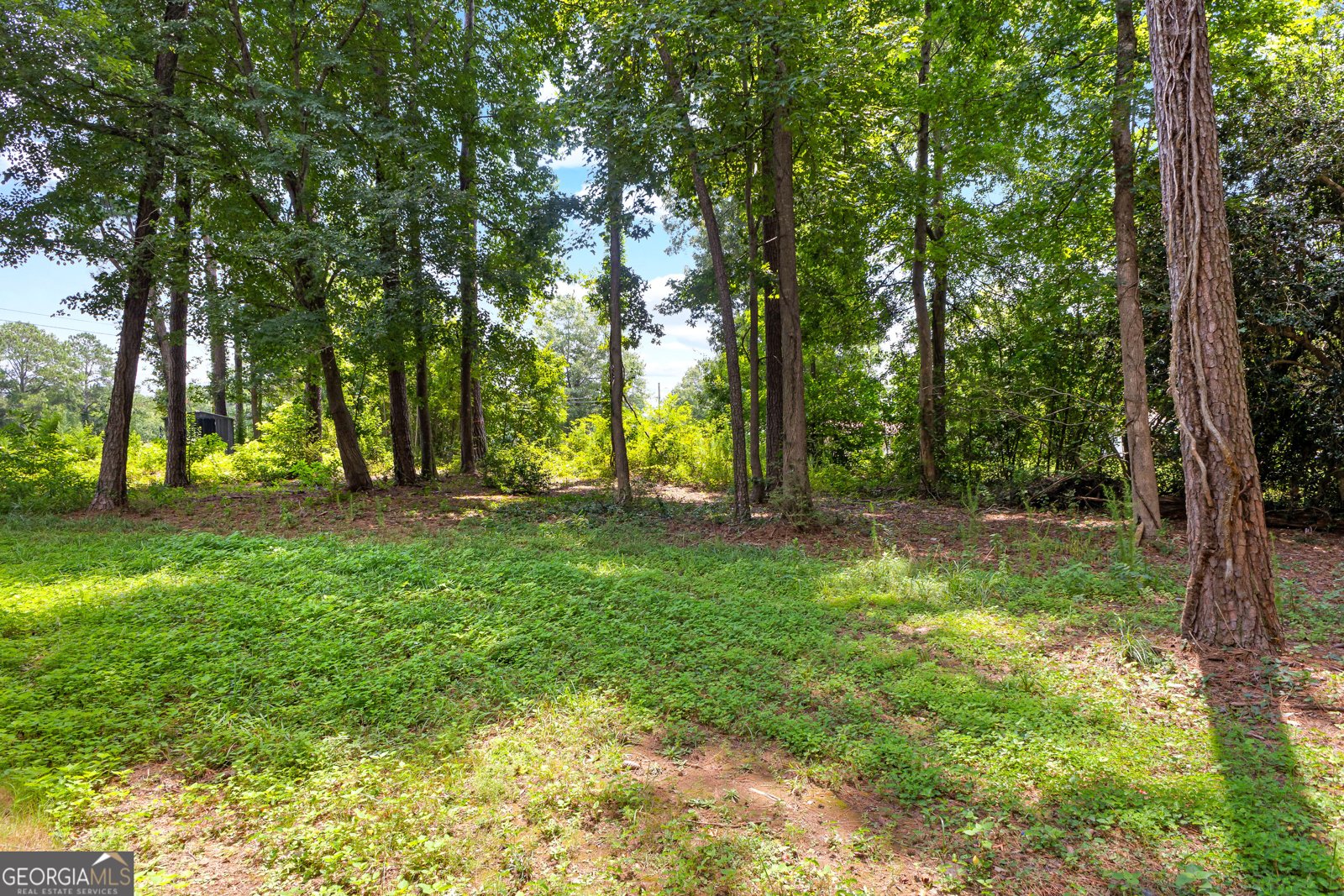 1468 Highway 41 Milner - 1
