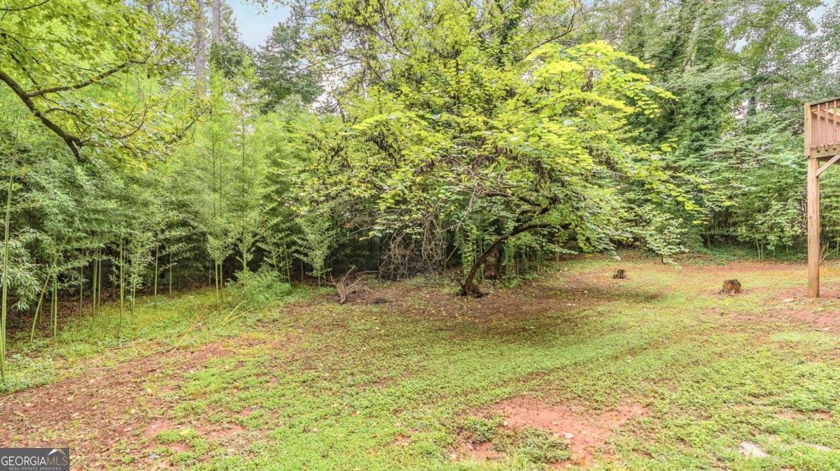 3896 Willow Ridge Court Douglasville - 5