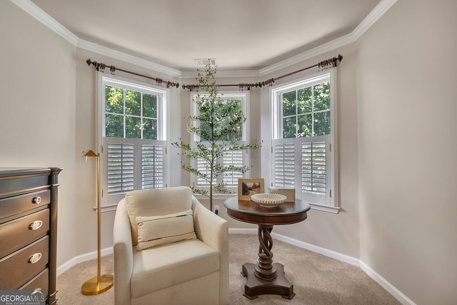 116 Birchwood Pass Canton - 22