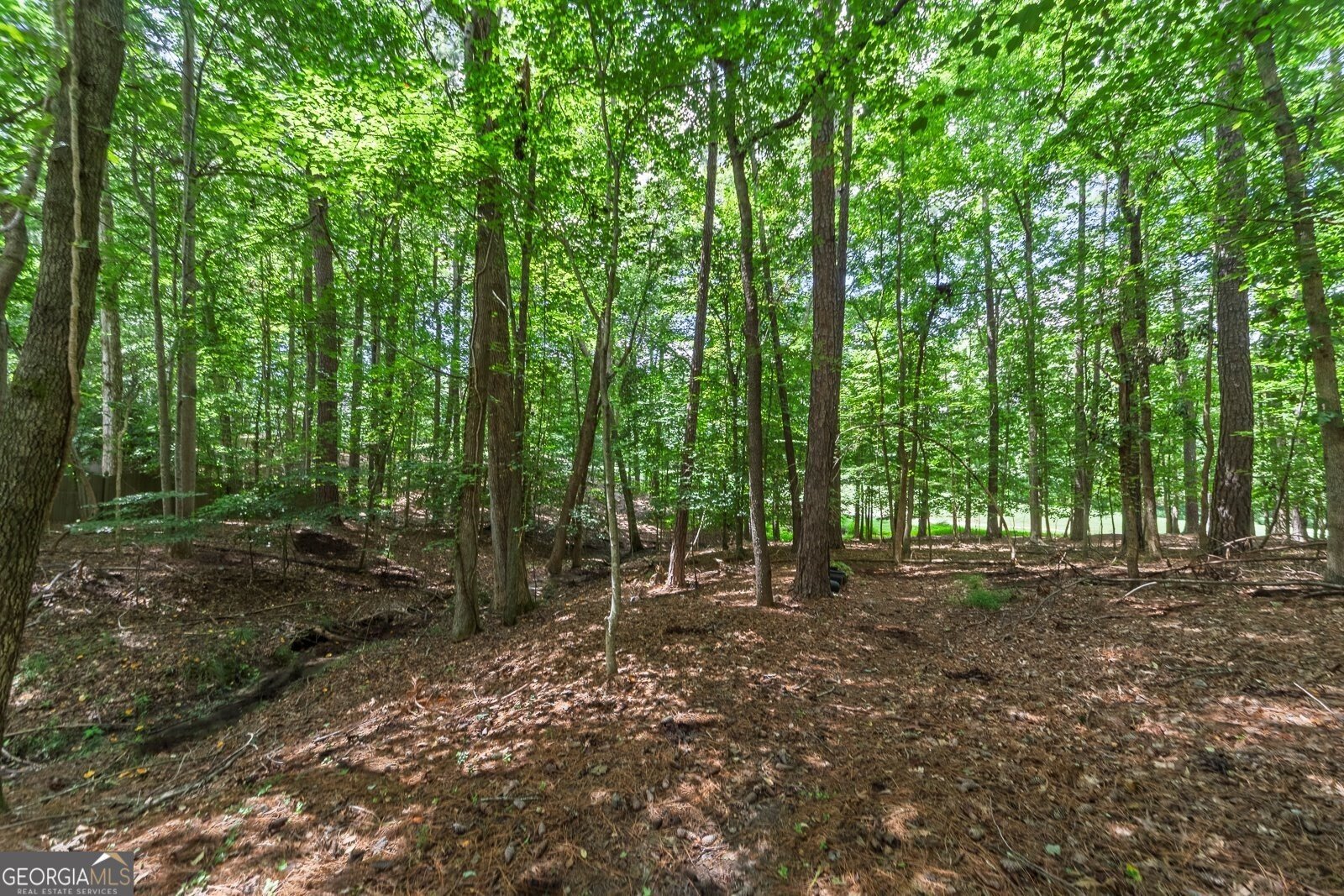 116 Birchwood Pass Canton - 46